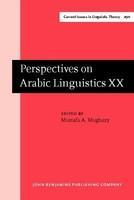 Perspectives on Arabic Linguistics XX: Papers from the twentieth annual symposium on Arabic Linguistics, Kalamazoo, March 2006 (Amsterdam Studies in ... Current Issues in Linguistic Theory) (v. 20) 290 Edition