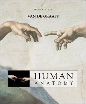 Human Anatomy