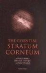 The Essential Stratum Corneum
