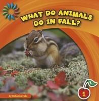 What Do Animals Do in Fall?