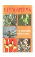 Gymnosperms