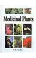 Medicinal plants 