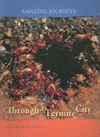 Through a Termite City