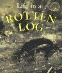 Life in a Rotten Log