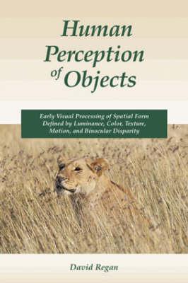 Human Perception of Objects: Early Visual Processing of Spatial Form Defined by Luminance, Color, Texture, Motion, and Binocular Disparity
