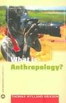 What Is Anthropology? (Anthropology Culture And Society)