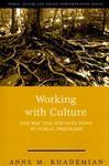 Working With Culture: The Way the Job Gets Done in Public Programs( Series - Public Affairs and Policy Administration Series )