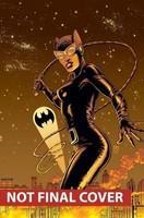 Catwoman Vol. 3: Under Pressure
