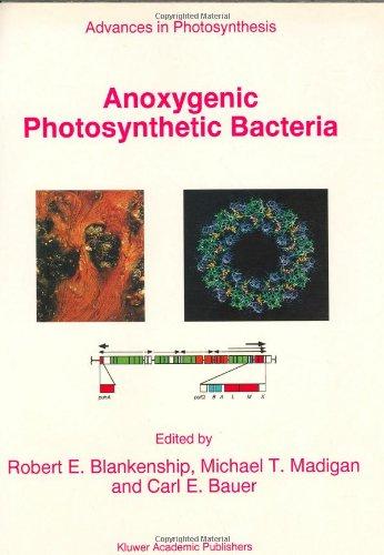 Anoxygenic Photosynthetic Bacteria (Advances in Photosynthesis and Respiration) 