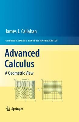 Advanced Calculus: A Geometric View (Undergraduate Texts in Mathematics)