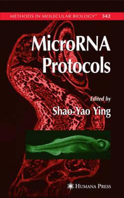 MicroRNA Protocols (Methods in Molecular Biology)