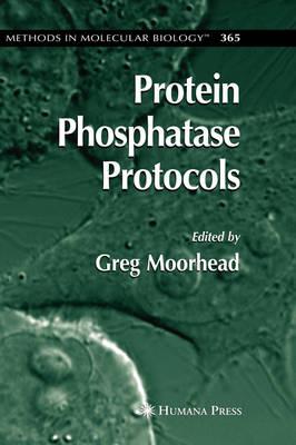 Protein Phosphatase Protocols (Methods in Molecular Biology)