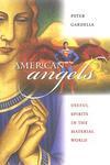 American Angels: Useful Spirits in the Material World( Series - Cultureamerica )