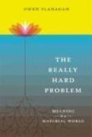 Really Hard Problem: Meaning in a Material World