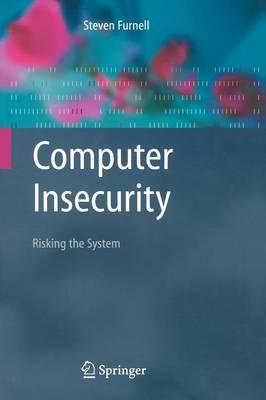 Computer Insecurity: Risking the System