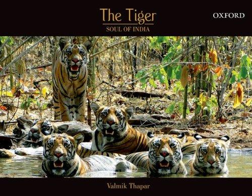 The Tiger: Soul of India