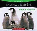 Planet Earth: Baby Penguins