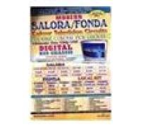 Modern (Salora/Fonda) Colour TV Ckts & D/C PCB Layout