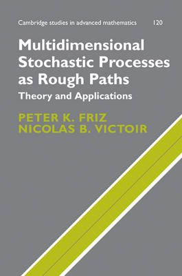 Multidimensional Stochastic Processes asRough Paths: Theory and Applications (Cambridge Studies in Advanced Mathematics)