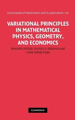 Variational Principles in Mathematical Physics, Geometry, and Economics: Qualitative Analysis of Nonlinear Equations and Unilateral Problems (Encyclopedia of Mathematics and its Applications)
